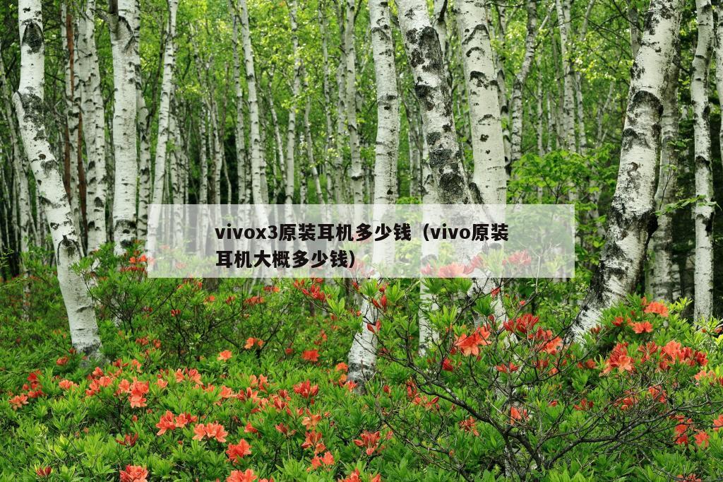 vivox3原装耳机多少钱（vivo原装耳机大概多少钱）