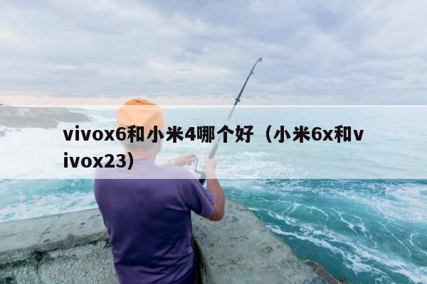 vivox6和小米4哪个好（小米6x和vivox23）