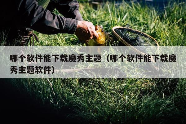 哪个软件能下载魔秀主题（哪个软件能下载魔秀主题软件）