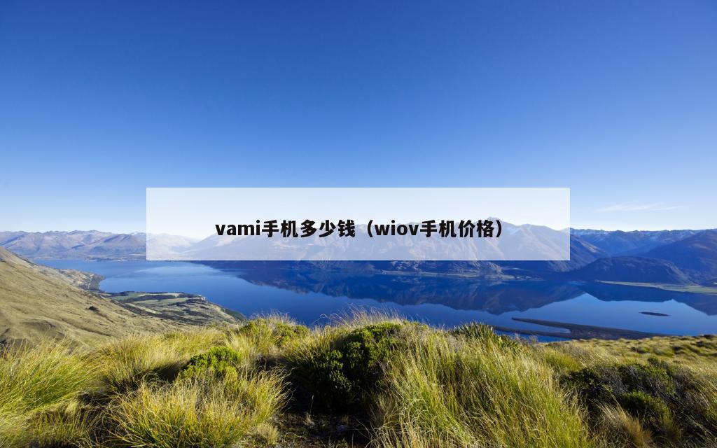 vami手机多少钱（wiov手机价格）