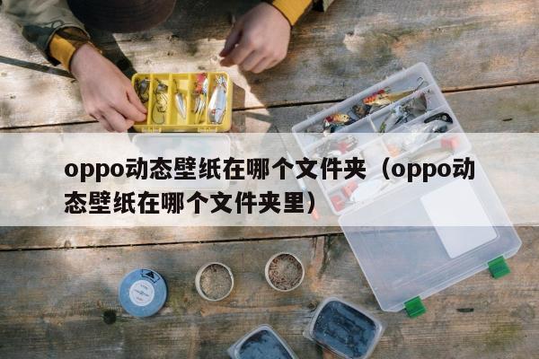 oppo动态壁纸在哪个文件夹（oppo动态壁纸在哪个文件夹里）