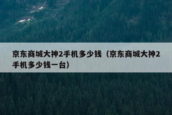 京东商城大神2手机多少钱（京东商城大神2手机多少钱一台）