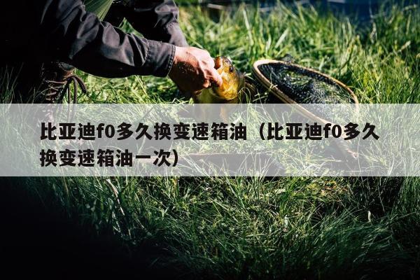 比亚迪f0多久换变速箱油（比亚迪f0多久换变速箱油一次）