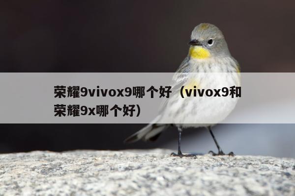 荣耀9vivox9哪个好（vivox9和荣耀9x哪个好）