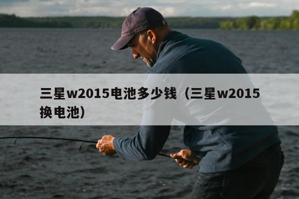 三星w2015电池多少钱（三星w2015换电池）