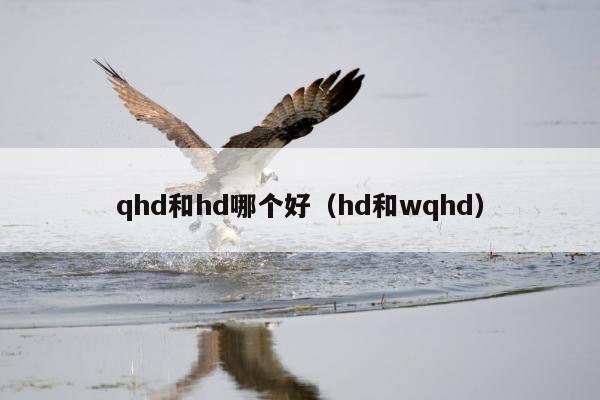 qhd和hd哪个好（hd和wqhd）