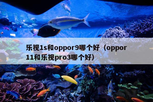 乐视1s和oppor9哪个好（oppor11和乐视pro3哪个好）