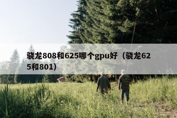 骁龙808和625哪个gpu好（骁龙625和801）