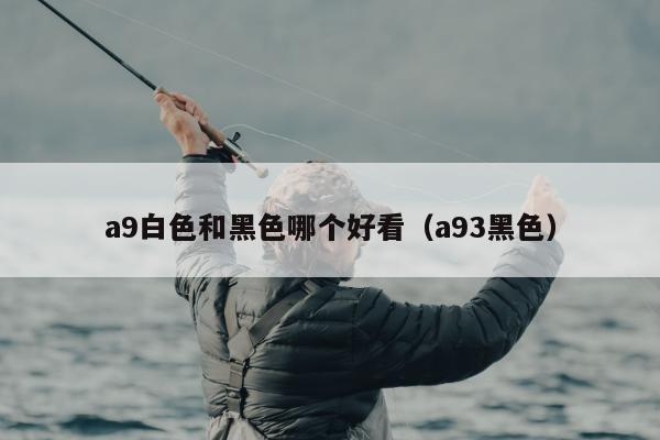 a9白色和黑色哪个好看（a93黑色）