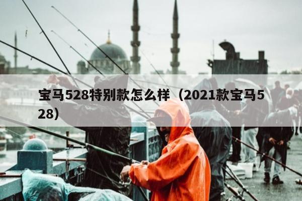 宝马528特别款怎么样（2021款宝马528）