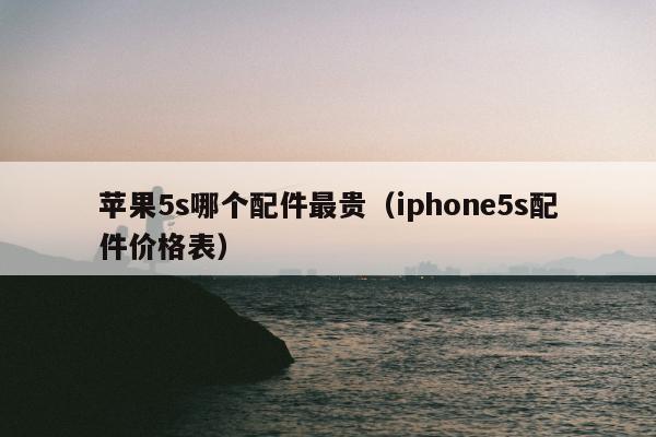 苹果5s哪个配件最贵（iphone5s配件价格表）