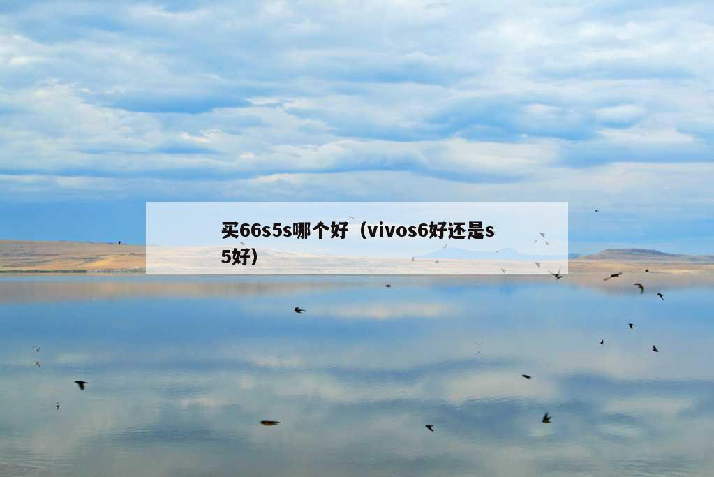 买66s5s哪个好（vivos6好还是s5好）