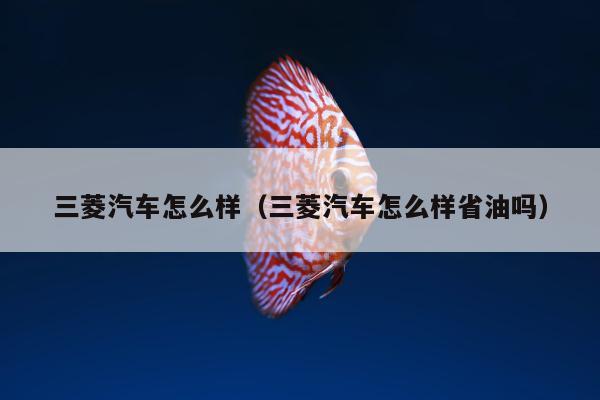 三菱汽车怎么样（三菱汽车怎么样省油吗）