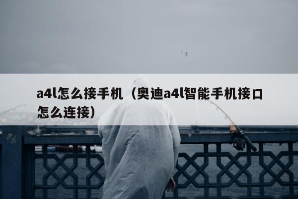 a4l怎么接手机（奥迪a4l智能手机接口怎么连接）