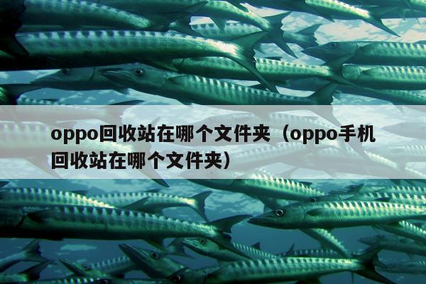 oppo回收站在哪个文件夹（oppo手机回收站在哪个文件夹）