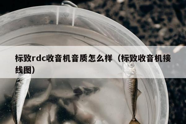 标致rdc收音机音质怎么样（标致收音机接线图）