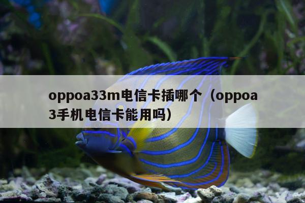 oppoa33m电信卡插哪个（oppoa3手机电信卡能用吗）