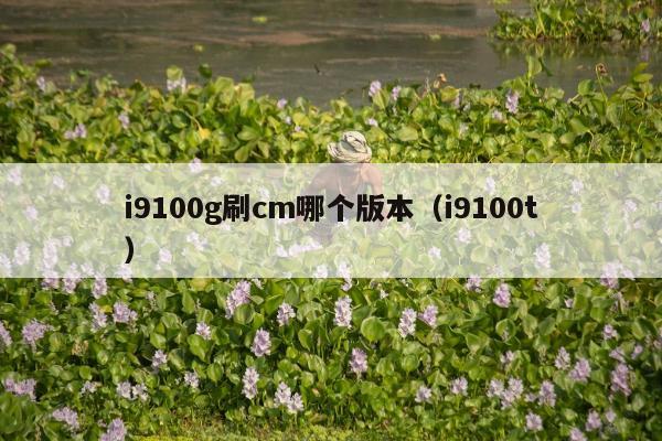 i9100g刷cm哪个版本（i9100t）