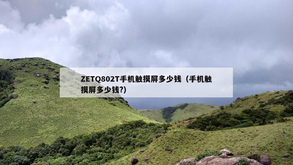 ZETQ802T手机触摸屏多少钱（手机触摸屏多少钱?）