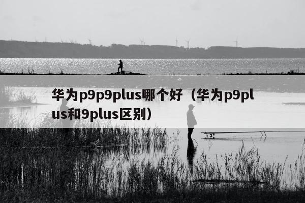 华为p9p9plus哪个好（华为p9plus和9plus区别）