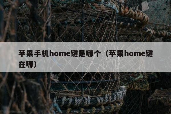 苹果手机home键是哪个（苹果home键在哪）