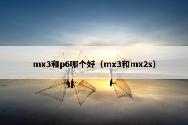 mx3和p6哪个好（mx3和mx2s）