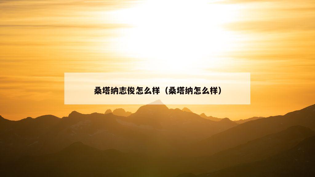 桑塔纳志俊怎么样（桑塔纳怎么样）