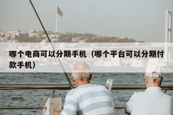 哪个电商可以分期手机（哪个平台可以分期付款手机）