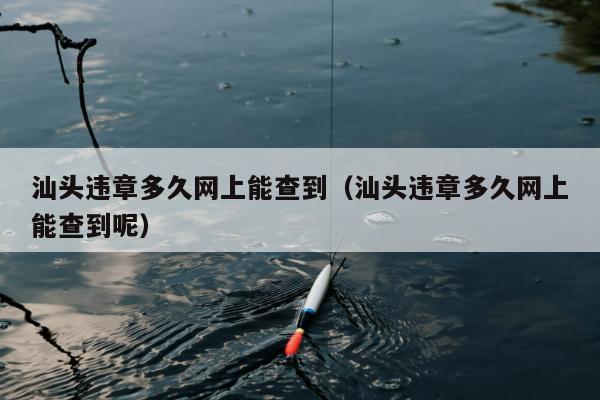 汕头违章多久网上能查到（汕头违章多久网上能查到呢）