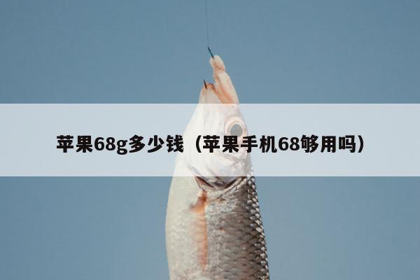 苹果68g多少钱（苹果手机68够用吗）