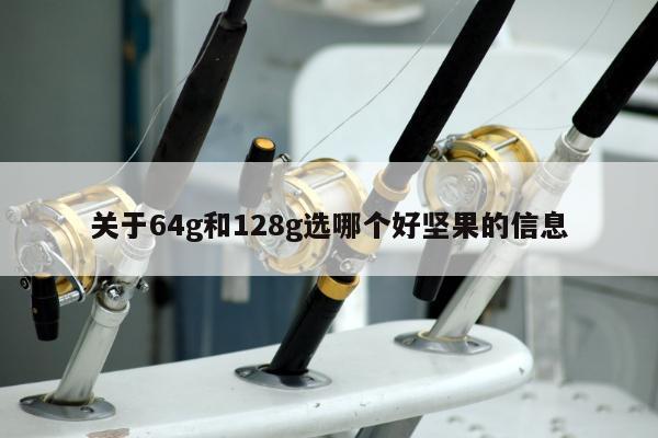 关于64g和128g选哪个好坚果的信息