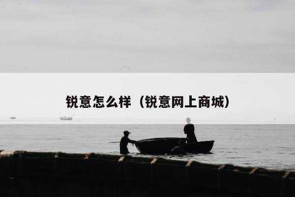 锐意怎么样（锐意网上商城）