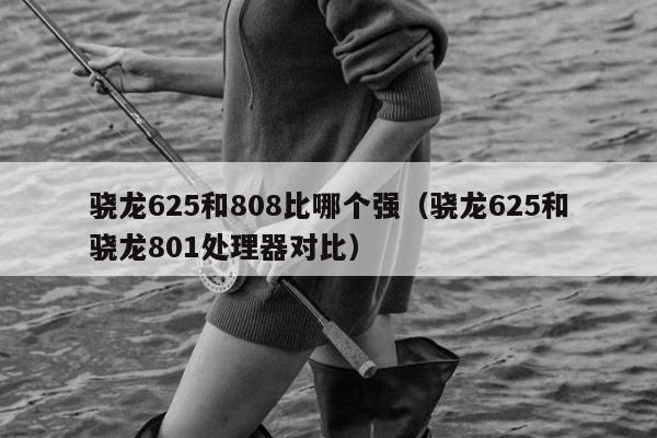 骁龙625和808比哪个强（骁龙625和骁龙801处理器对比）