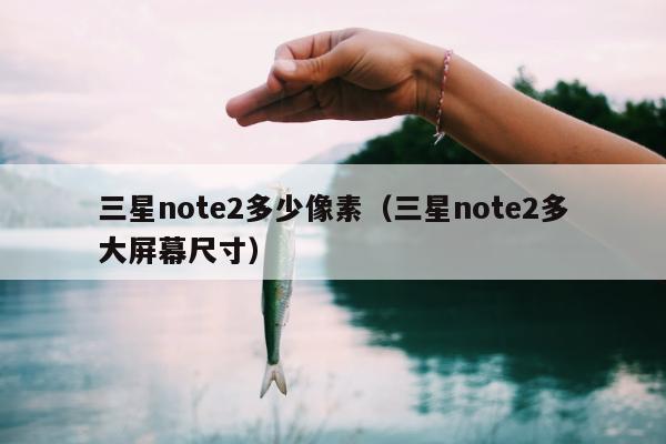 三星note2多少像素（三星note2多大屏幕尺寸）