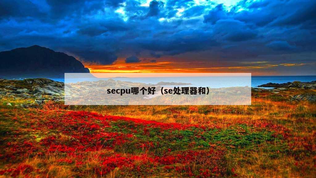 secpu哪个好（se处理器和）