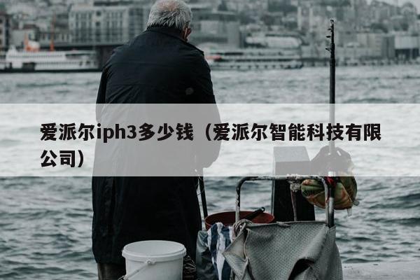 爱派尔iph3多少钱（爱派尔智能科技有限公司）