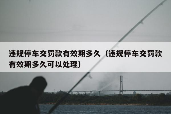 违规停车交罚款有效期多久（违规停车交罚款有效期多久可以处理）