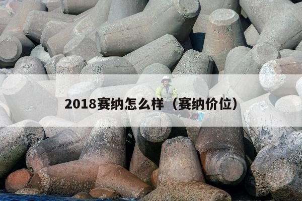 2018赛纳怎么样（赛纳价位）