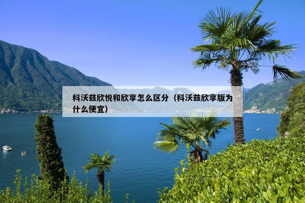 科沃兹欣悦和欣享怎么区分（科沃兹欣享版为什么便宜）