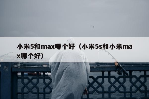 小米5和max哪个好（小米5s和小米max哪个好）