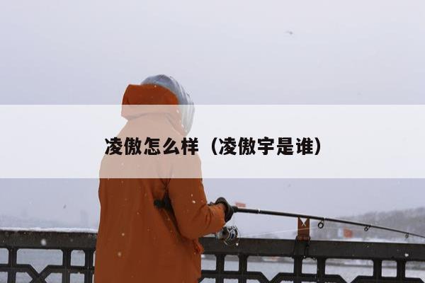 凌傲怎么样（凌傲宇是谁）