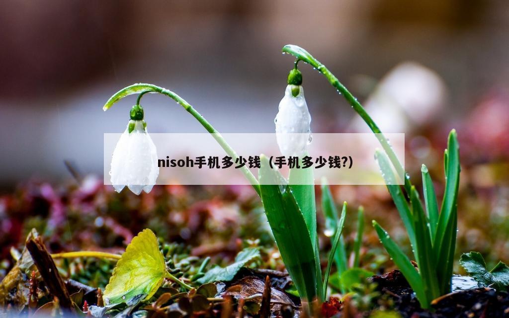 nisoh手机多少钱（手机多少钱?）