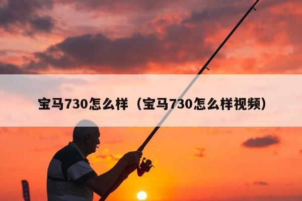 宝马730怎么样（宝马730怎么样视频）