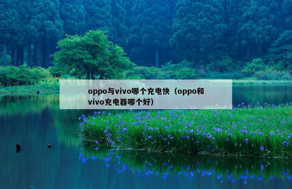 oppo与vivo哪个充电快（oppo和vivo充电器哪个好）