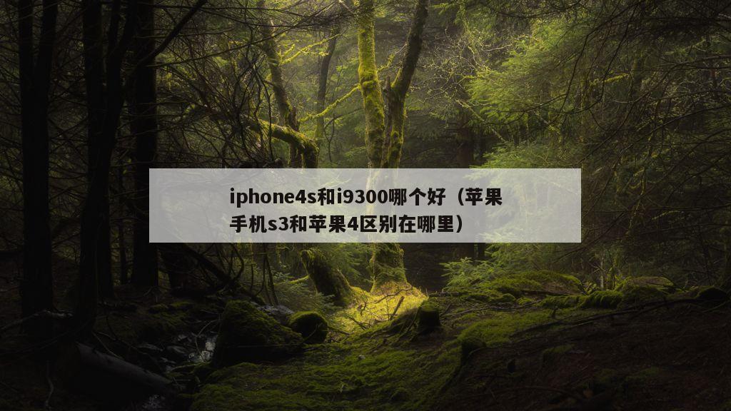 iphone4s和i9300哪个好（苹果手机s3和苹果4区别在哪里）