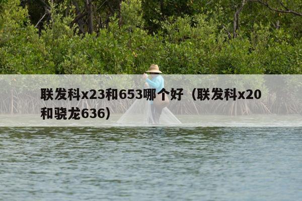 联发科x23和653哪个好（联发科x20和骁龙636）