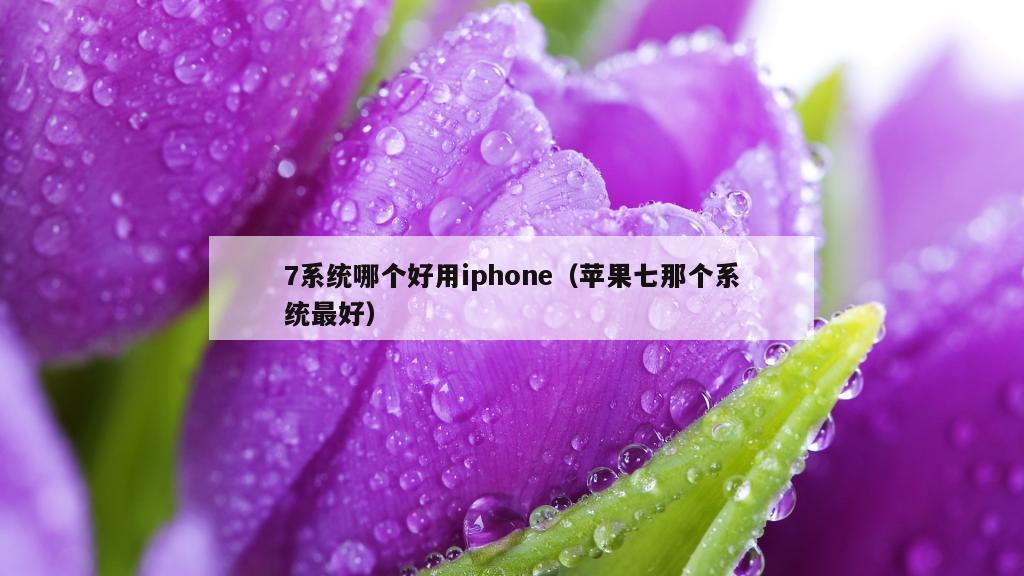 7系统哪个好用iphone（苹果七那个系统最好）