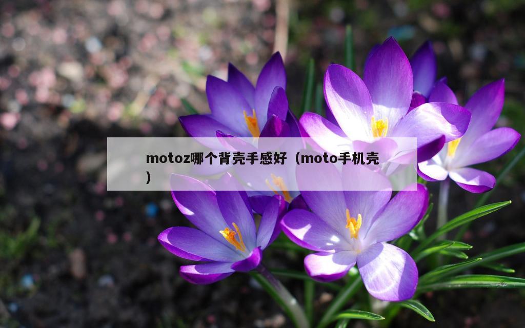 motoz哪个背壳手感好（moto手机壳）