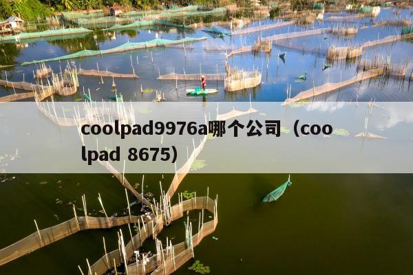 coolpad9976a哪个公司（coolpad 8675）