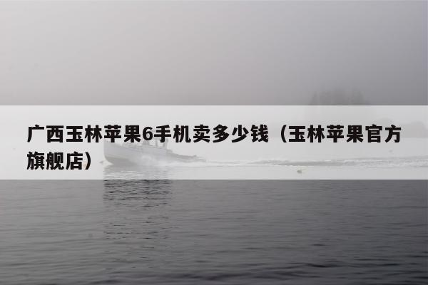 广西玉林苹果6手机卖多少钱（玉林苹果官方旗舰店）